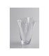 Transparent glass vase for rent