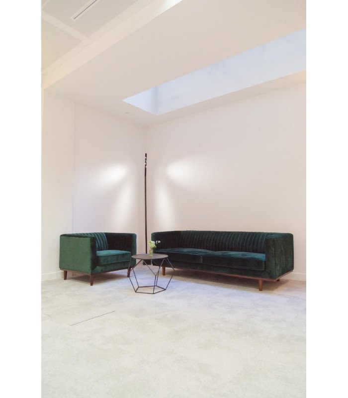 Location fauteuil en velours