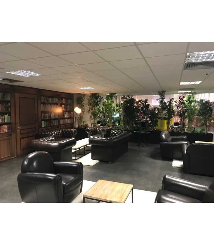 Rental of Fauteuil club 1 place cuir choco