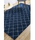 Blue Scandinavian rug rental