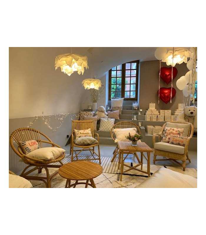 Rattan armchair rental