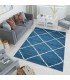 location tapis scandinave losange blanc style shaggy