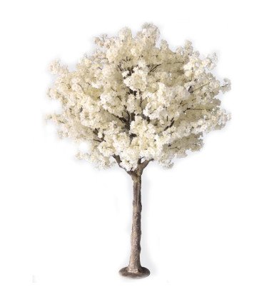 location arbre cerisier blanc