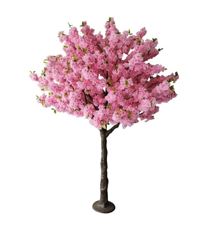 Location Arbre cerisier rose foncé H 2,20 m