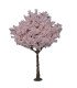 Rental Light pink cherry tree H 2.20 m