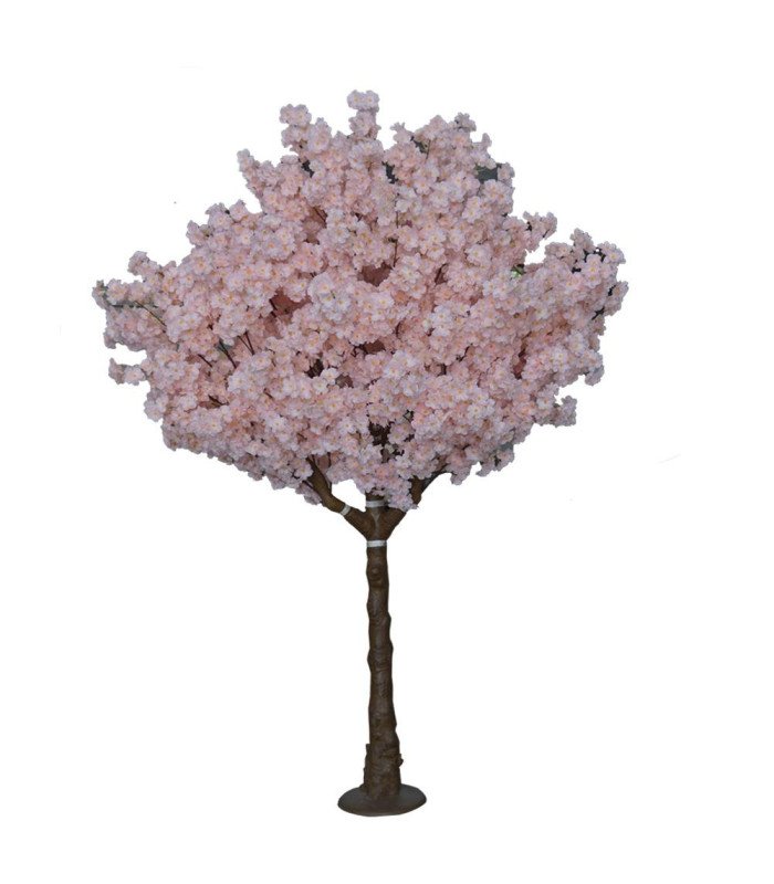 Location Arbre cerisier rose clair H 2,20 m