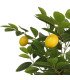Citronnier artificiel H 180 cm
