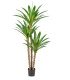 Yuka artificial Height 170 cm for your events