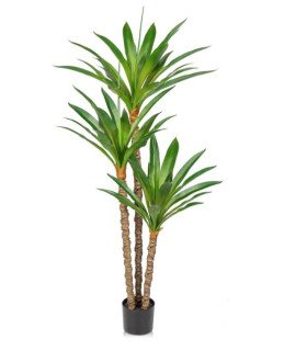 Yuka artificial Height 170 cm for your events