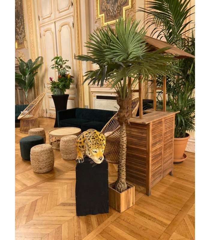 Rattan garden armchair for rent model Rose