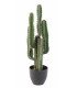 Cactus artificiel H 75 cm