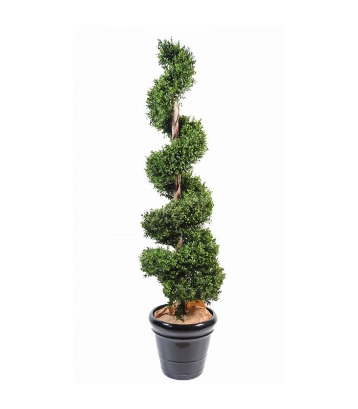 Artificial spiral boxwood H 180 cm