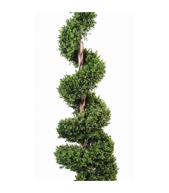 Artificial spiral boxwood H 180 cm