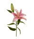 Fleur de lys artificielle H 58 cm