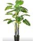 Artificial monstera plant H 120 cm in a white planter, tropical plant rental from 126 Events