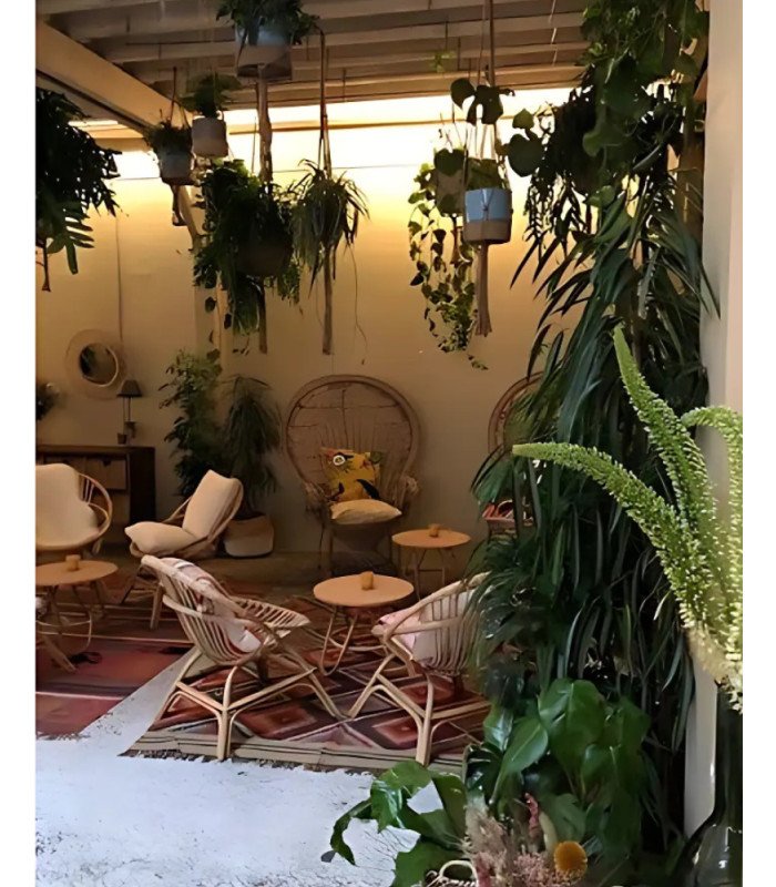 Fauteuil Emmanuelle en location par location mobilier paris