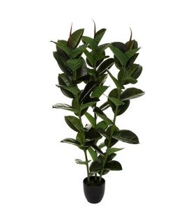 Artificial ficus tree rental H 120 cm in a black pot on white background, greenery for booths and lobbies - 126 Events