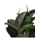 Artificial ficus H 120 cm