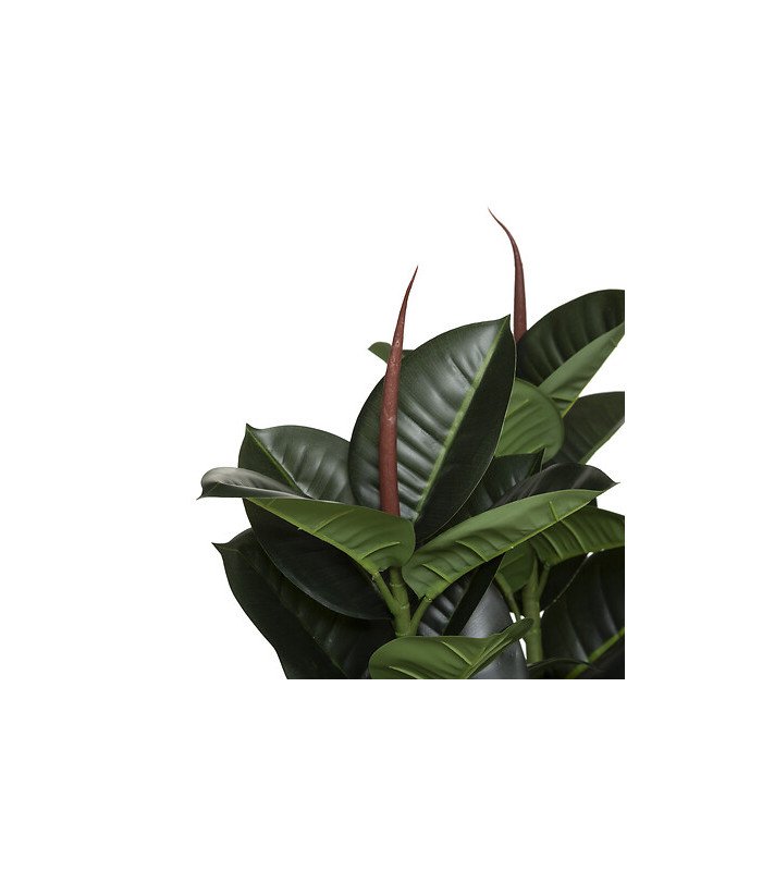 Artificial ficus H 120 cm