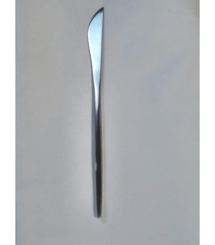 Trendy silver knife with a slim handle for a reception table