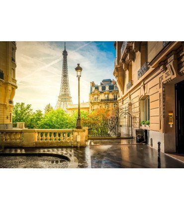 Toile décor Paris Tour Eiffel 3 x 2,5 m pour décoration événementielle