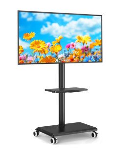 Support écran tv à roulette 27 à 55 pouces