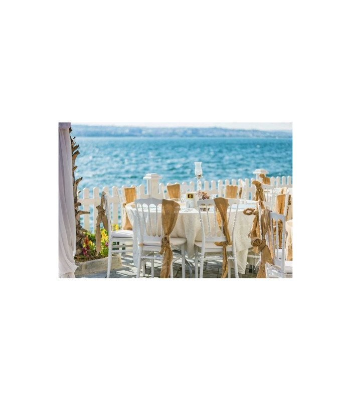 Pack of 100 white Napoleon chairs