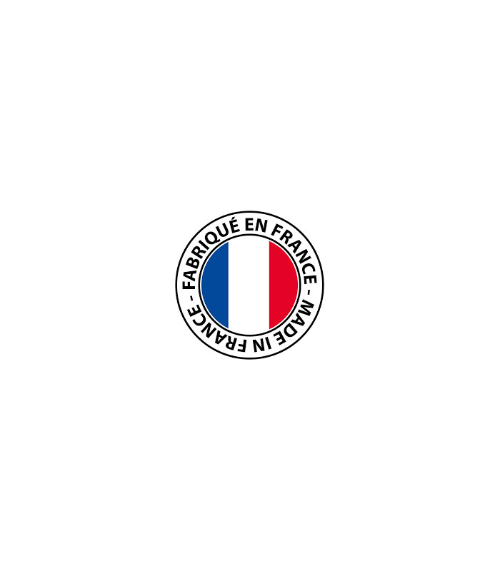 Logo made in France with French flag