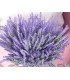 Bouquet de lavande artificielle H 38,5 cm