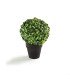 Artificial boxwood in a pot for rent, H 23 x Diam 18 cm