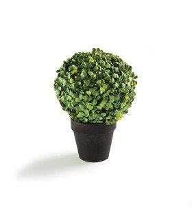 Artificial boxwood in a pot for rent, H 23 x Diam 18 cm
