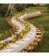 Luxury S-shaped wedding table rental