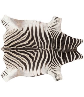 Zebra carpet rental
