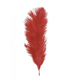 Bouquet plumes autruche rouge 20-25 cm sur fond blanc