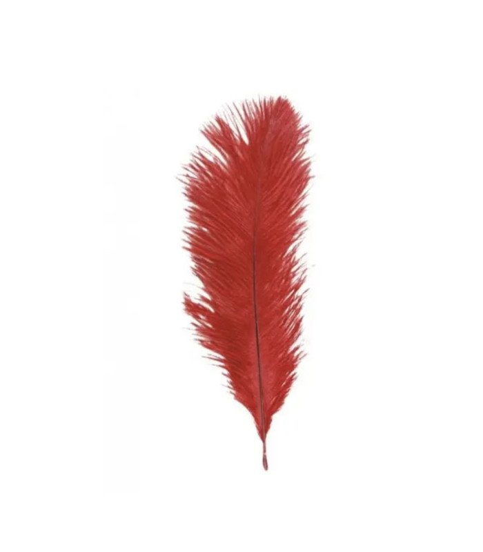 Bouquet of red ostrich feathers, 20–25 cm, on a white background