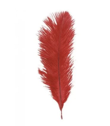 Bouquet of red ostrich feathers, 20–25 cm, on a white background