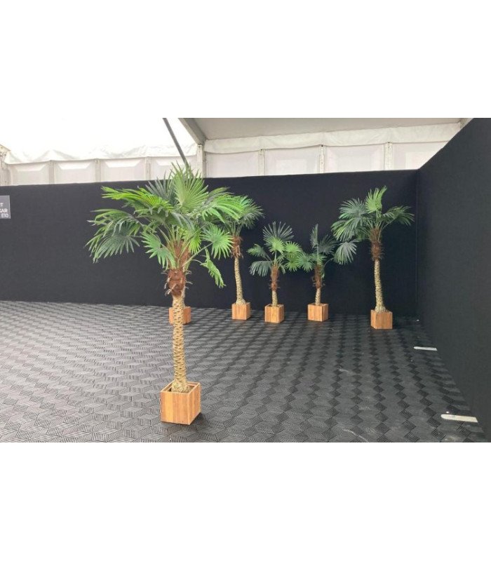 Rental Artificial palm tree 180 cm fire resistant treated