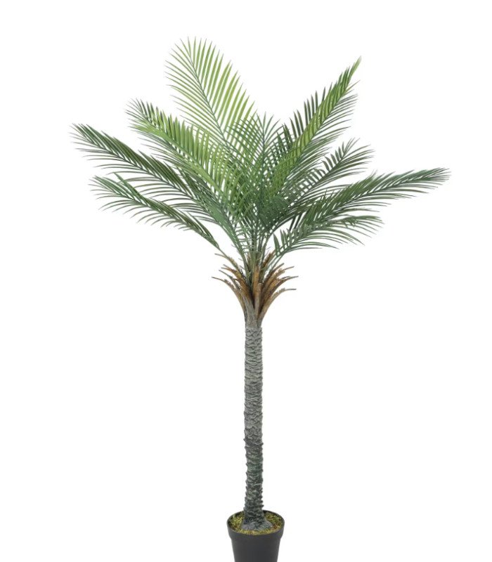 Location palmier artificiel