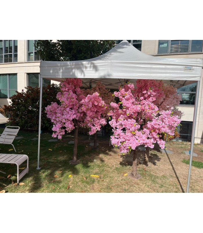 Rental Light pink cherry tree H 2.20 m