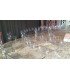 Transparent medallion chair - L 39 x D 48 x H 92 cm