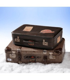 Vintage suitcase for rent