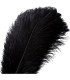 Bouquet plumes autruche rouge 20-25 cm sur fond blanc