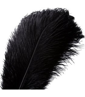 Bouquet of black ostrich feathers, 35–40 cm