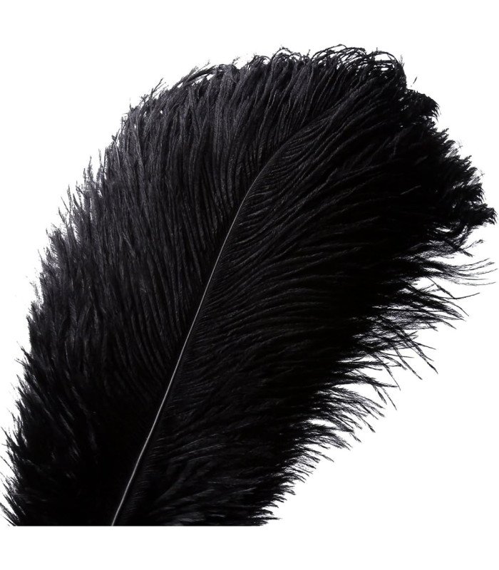 Bouquet plumes autruche rouge 20-25 cm sur fond blanc