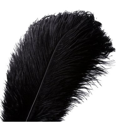 Bouquet of black ostrich feathers, 35–40 cm