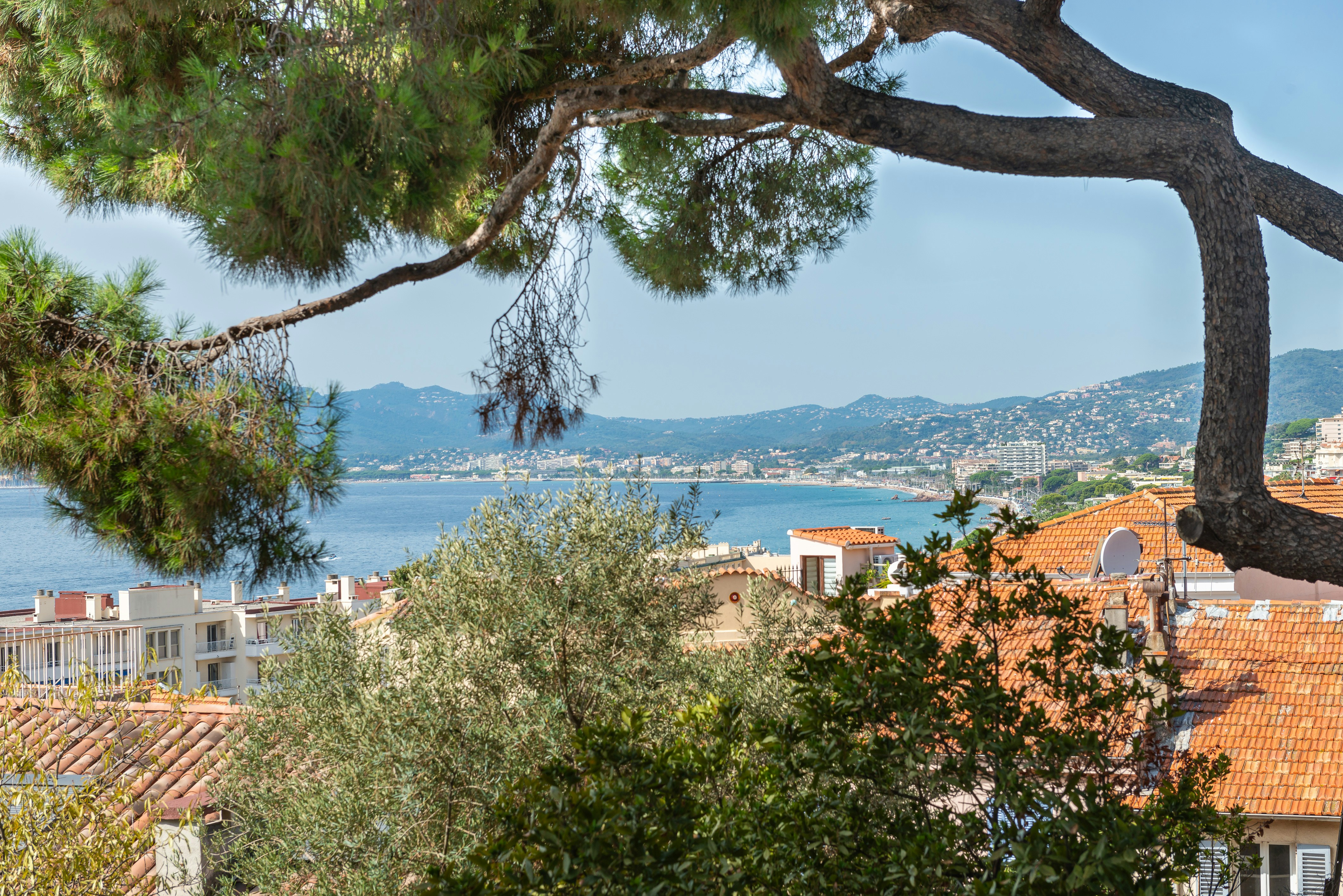 Photo, copyright free from the city of Cannes